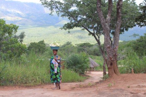 On the way to Nhabawa.JPG