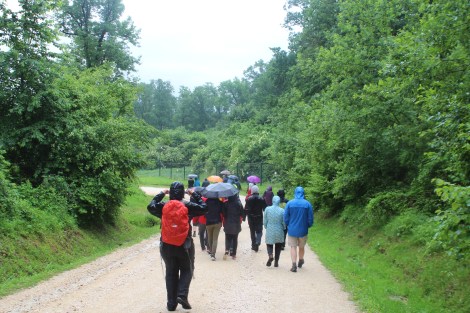 Guided tours at the sanctuary are now popular
